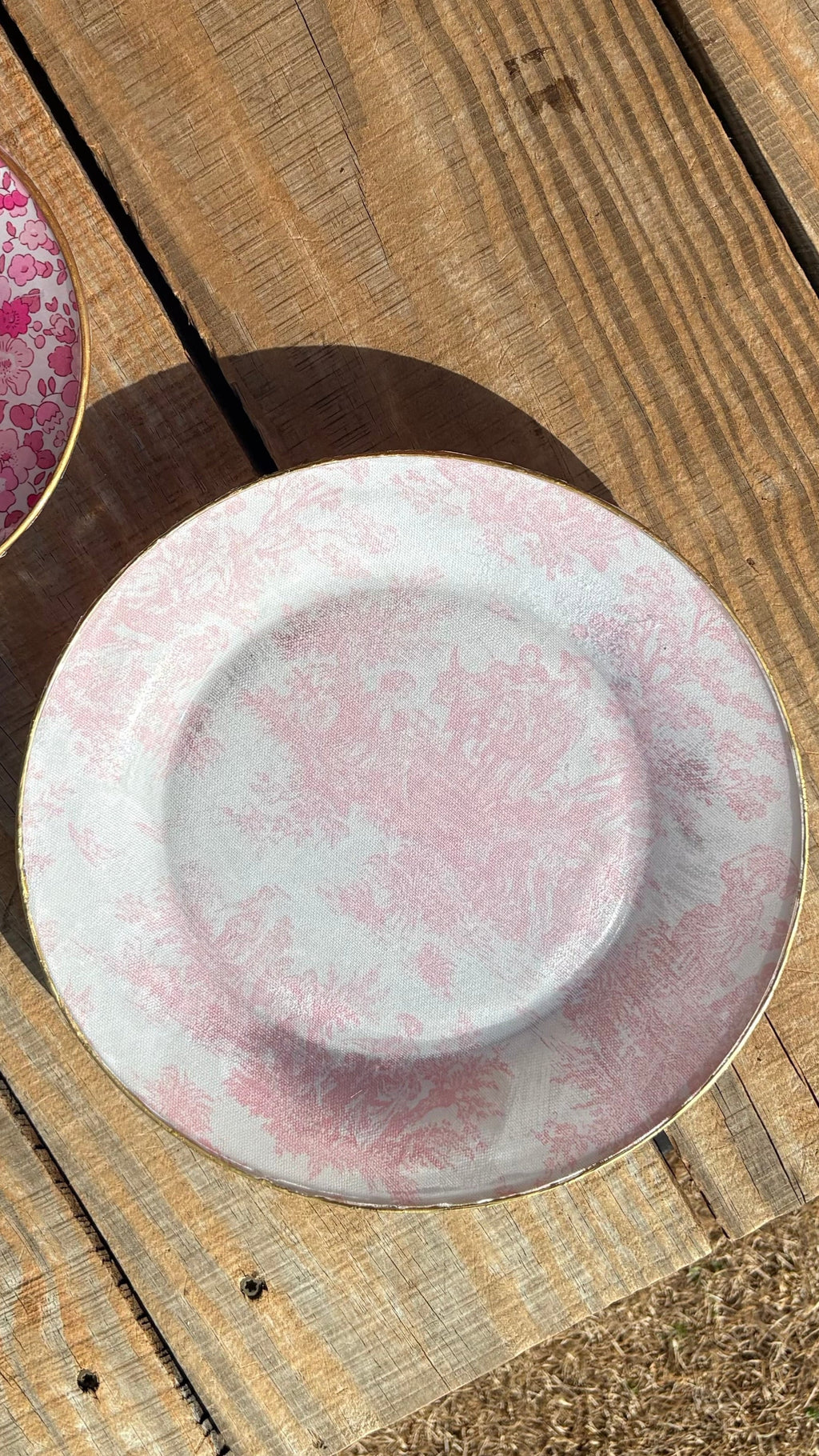 Pink Toile